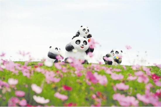 格桑花(huā)開(kāi)得(de)正豔 快(kuài)來(lái)雙流“空(kōng)港花(huā)田”打卡看(kàn)飛(fēi)機(jī)